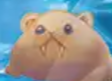 trichodon's Avatar